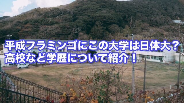 平成フラミンゴ にこ 大学