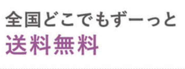 記事内画像