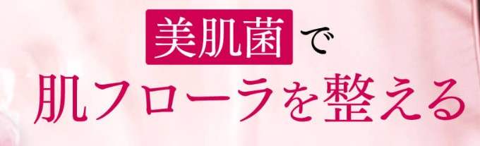 ランクレールとはなにか?
